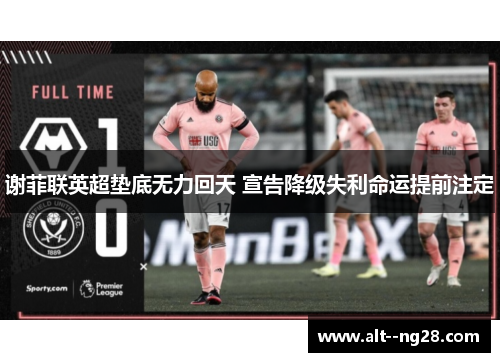 谢菲联英超垫底无力回天 宣告降级失利命运提前注定